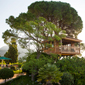 Tree House at Gran Hotel Son Net | Mallorca, Spain