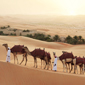 Qasr Al Sarab Desert Resort by Anantara, United Arab Emirates