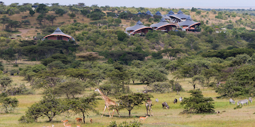 Mahali Mzuri Safari Camp