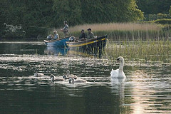 Fly Fishing at Ashford