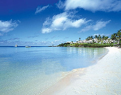 Cambridge Beaches