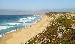 Monterey Beach