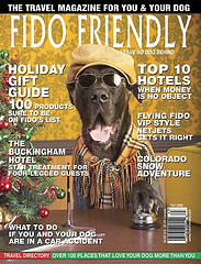 Fido Friendly