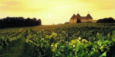 Chateau Elan