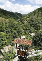 Ubud Hanging Gardens