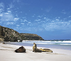 Kangaroo Island