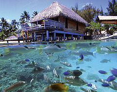 Hotel Bora Bora