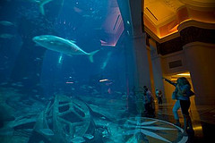 Atlantis aquarium, Dubai
