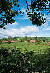 Surrey farmland