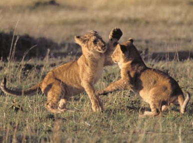 Nairobi, Kenya