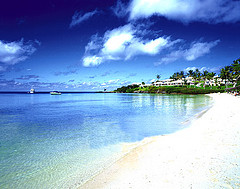 Cambridge Beaches