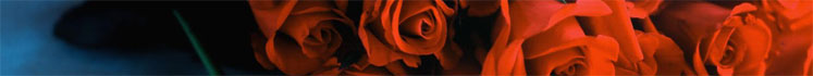 The World's Most Romantic Hotels - 2007