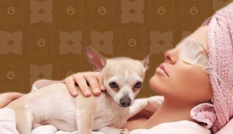 Spa Paws Hotel Spa Paws Hotel