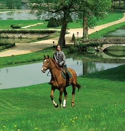 Horseback Riding