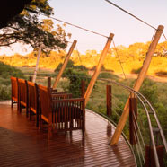 Ngala Game Reserve