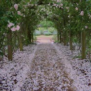 Barnsley Gardens Resort
