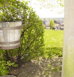 Village View