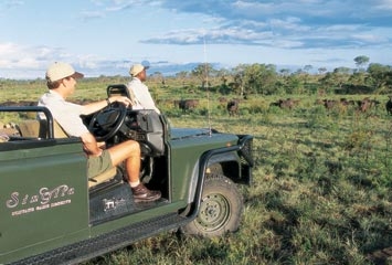 Jeep Safari