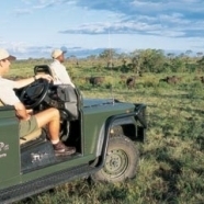 Jeep Safari