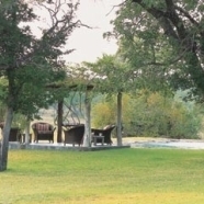 Getaway at Castleton Lodge