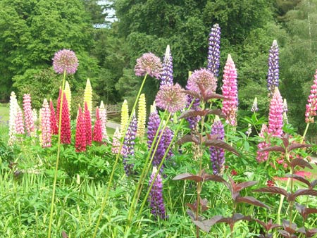 Gidleigh Park