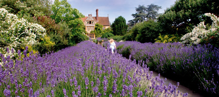 Le Manoir Aux Quat Saisons