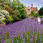 Le Manoir Aux Quat Saisons