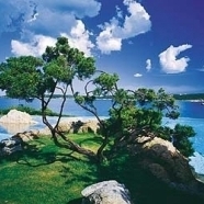 Sea-water Swimming Pool