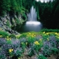 Butchart Gardens