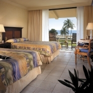 Guest Room with a View