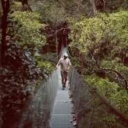 Rainforest Hike