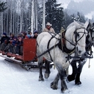 Sleigh Ride