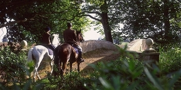 Horseback Riding on The Grounds