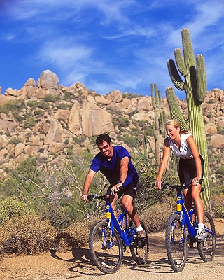 Desert Biking