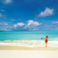The Beach