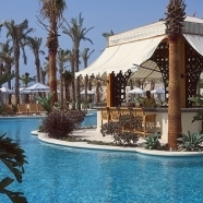 Pool and Pool Bar