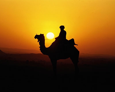 Sunset Camel Ride