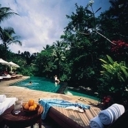 The Main Pool