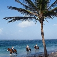 Horseback Riding in the Water