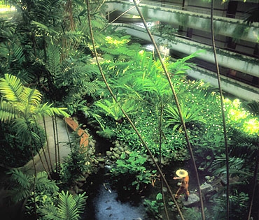 Garden Atrium