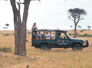 Safari