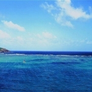 Coral Reef