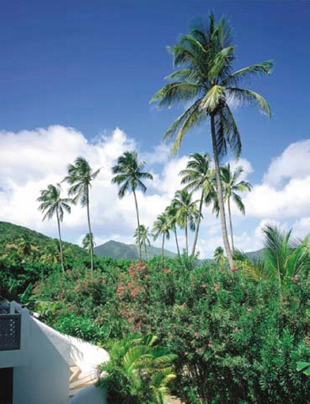 View behind Hotel towards Mountains