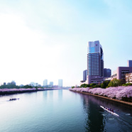 Imperial Hotel Osaka