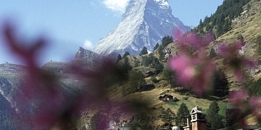 View from room towards Matterhorn