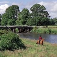 White Bridge with Horse on Trail Ride