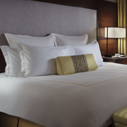 Ritz Carlton NY Battery Park