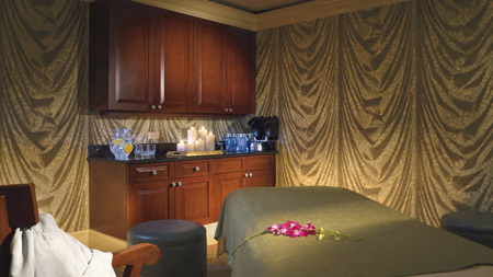 Ritz Carlton Coconut Grove
