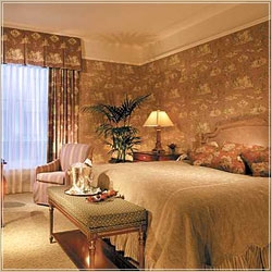 Deluxe Guest Room