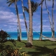 Hammock